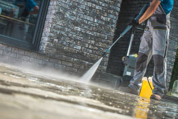 Best House Exterior Washing  in Spring Valley, MN